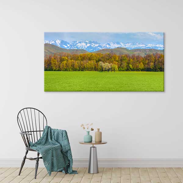 Yeşil Ova ve Karlı Dağlar Manzarası Kanvas Tablo 12051