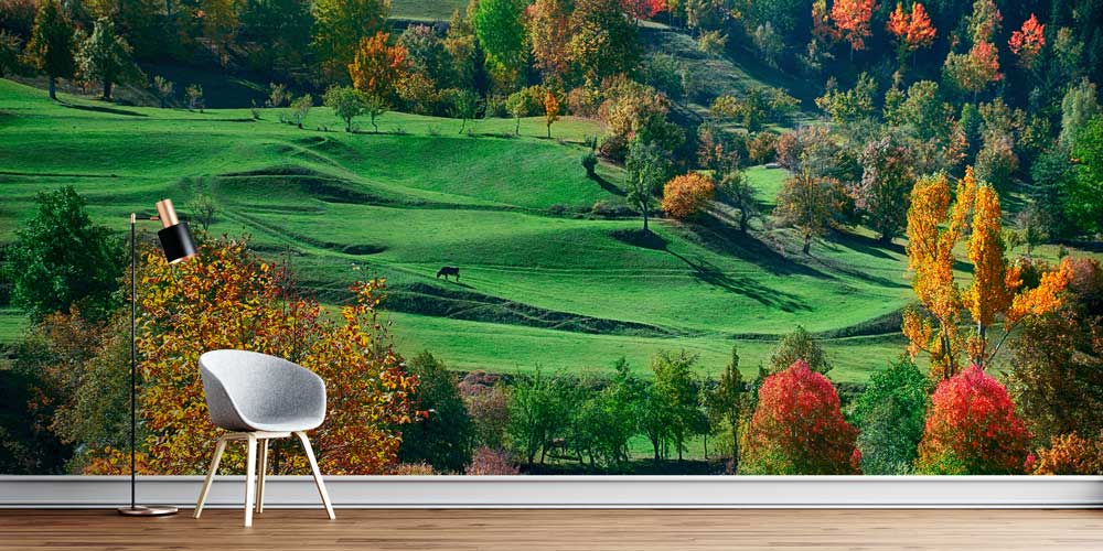 Yeşil Tepeler ve Sonbahar Renkleri Doğa Manzarası Duvar Kağıdı 11594