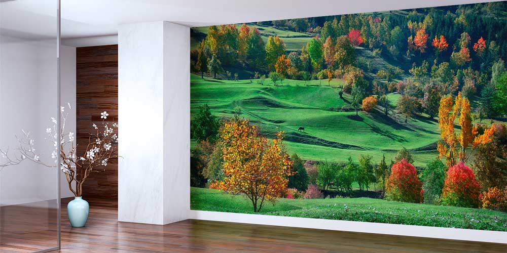 Yeşil Tepeler ve Sonbahar Renkleri Doğa Manzarası Duvar Kağıdı 11594
