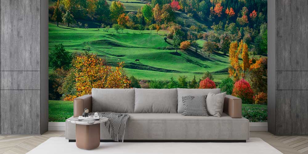 Yeşil Tepeler ve Sonbahar Renkleri Doğa Manzarası Duvar Kağıdı 11594