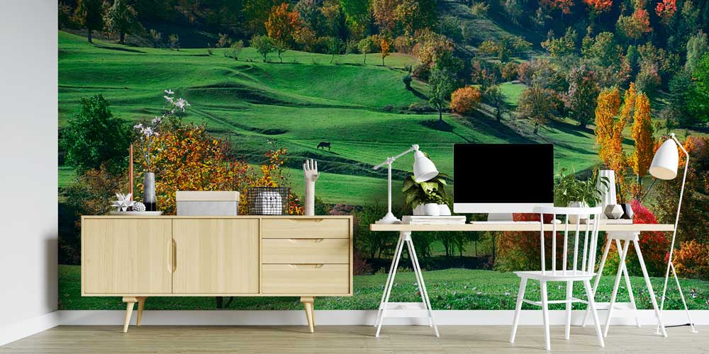 Yeşil Tepeler ve Sonbahar Renkleri Doğa Manzarası Duvar Kağıdı 11594