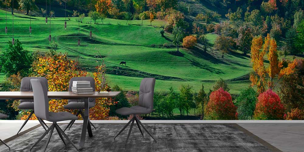 Yeşil Tepeler ve Sonbahar Renkleri Doğa Manzarası Duvar Kağıdı 11594