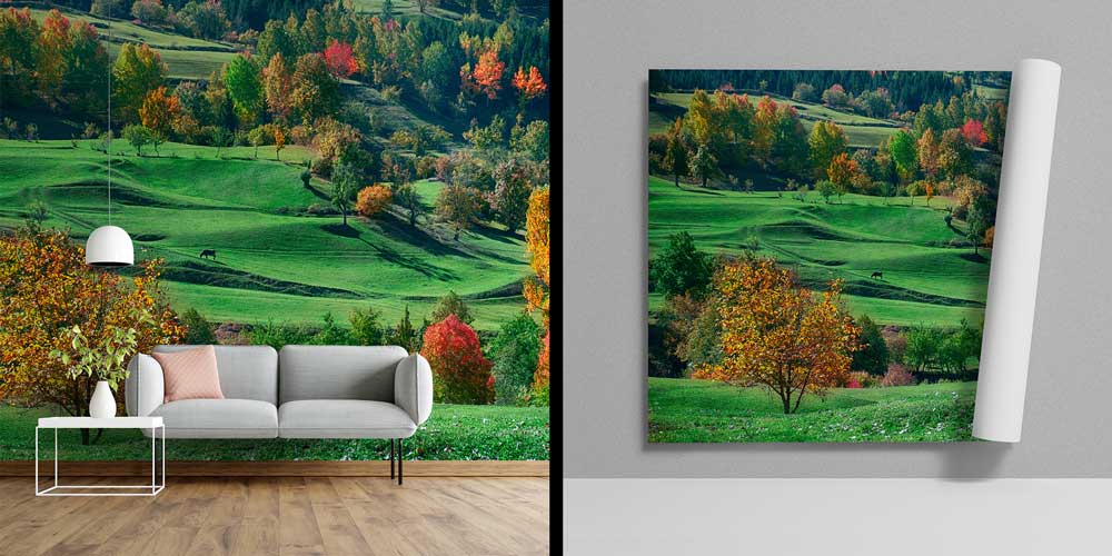 Yeşil Tepeler ve Sonbahar Renkleri Doğa Manzarası Duvar Kağıdı 11594