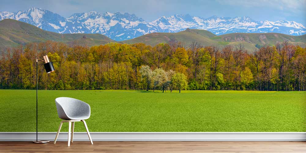 Yeşil Çayır ve Karlı Dağ Manzarası Duvar Kağıdı 11501