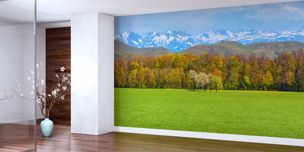 turkey-wallpaper-decor-11501-01 Yeşil Çayır ve Karlı Dağ Manzarası Duvar Kağıdı 11501