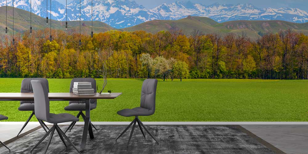 turkey-wallpaper-decor-11501-03 Yeşil Çayır ve Karlı Dağ Manzarası Duvar Kağıdı 11501