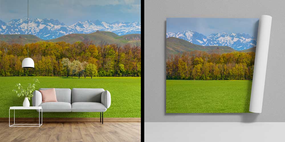 turkey-wallpaper-decor-11501-04 Yeşil Çayır ve Karlı Dağ Manzarası Duvar Kağıdı 11501