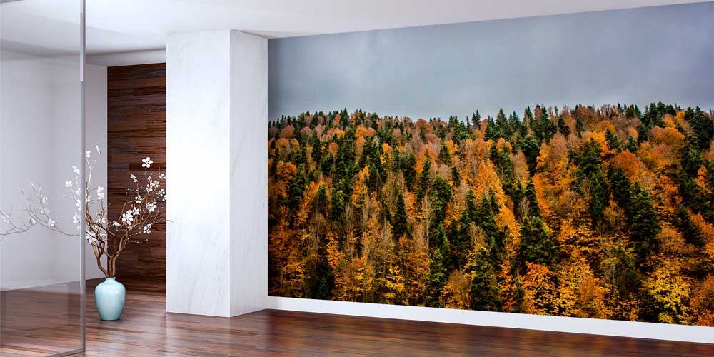 Sonbahar Ormanı Doğa Manzarası Duvar Kağıdı 11591
