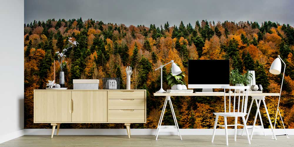 Sonbahar Ormanı Doğa Manzarası Duvar Kağıdı 11591