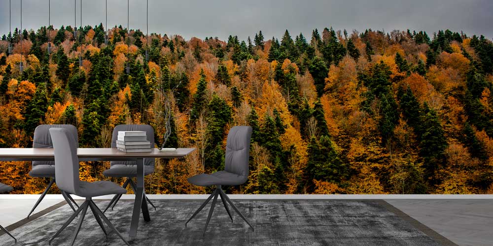 Sonbahar Ormanı Doğa Manzarası Duvar Kağıdı 11591