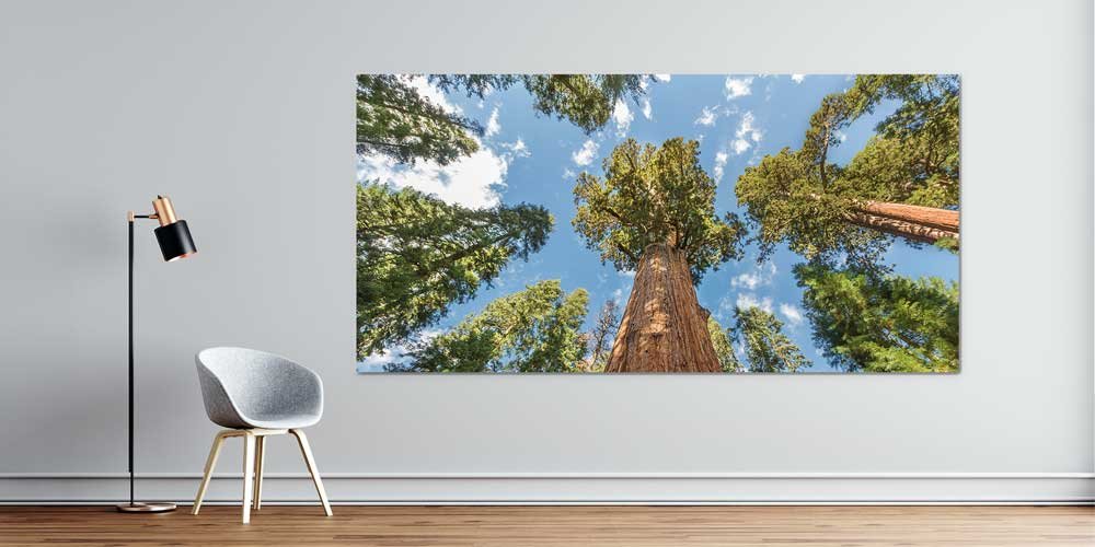Dev Ağaçlar Orman Perspektifi Büyük Ebat Duvar Dekor Ürünü 14146