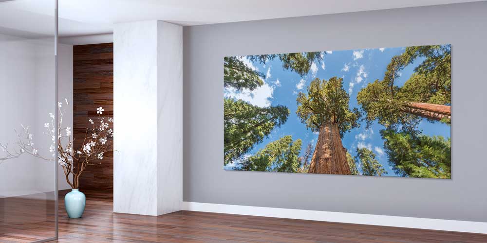 Dev Ağaçlar Orman Perspektifi Büyük Ebat Duvar Dekor Ürünü 14146