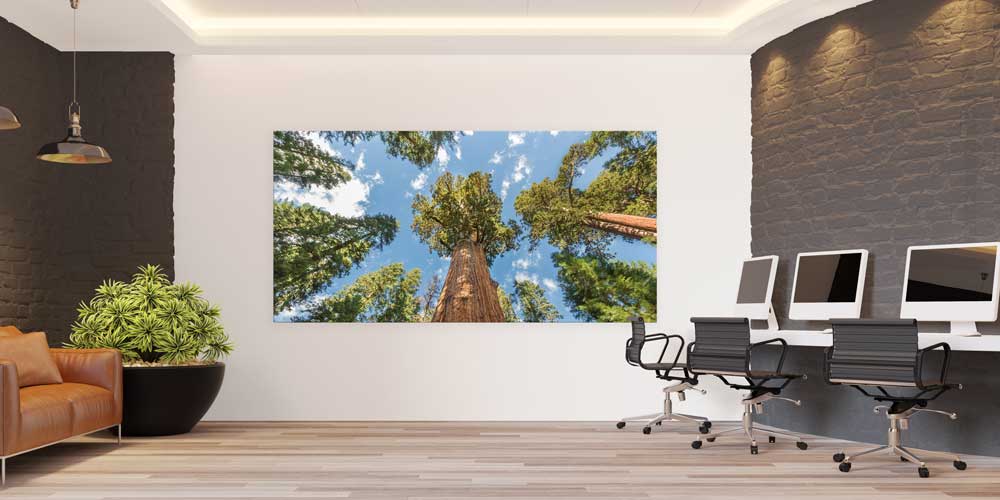Dev Ağaçlar Orman Perspektifi Büyük Ebat Duvar Dekor Ürünü 14146