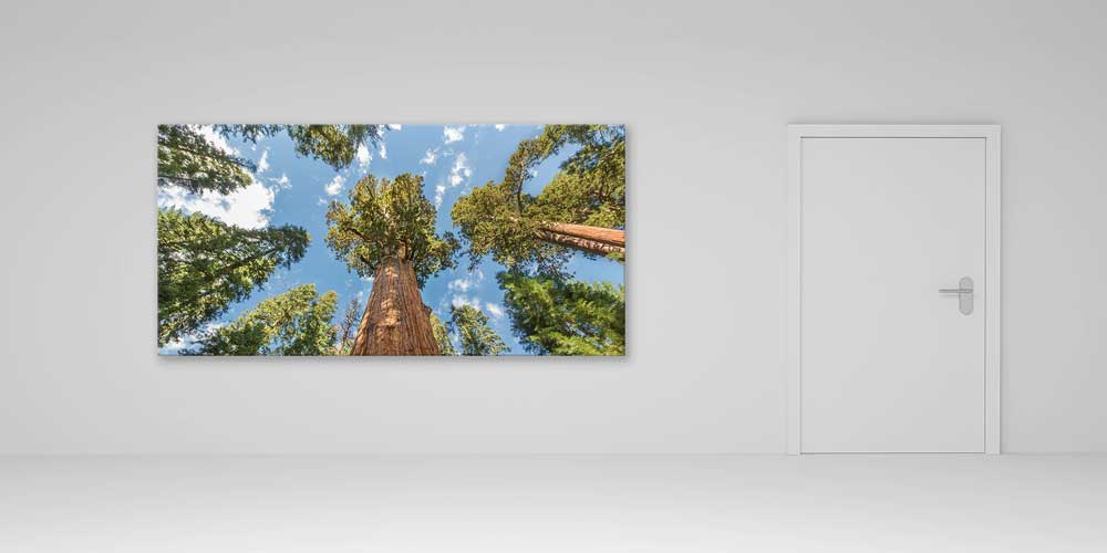 Dev Ağaçlar Orman Perspektifi Büyük Ebat Duvar Dekor Ürünü 14146