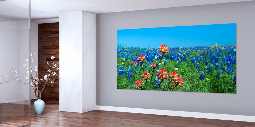 Renkli Kır Çiçekleri Tarlası Manzarası Büyük Ebat Duvar Dekor Ürünü 14155