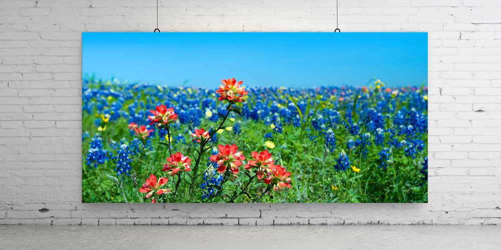 Renkli Kır Çiçekleri Tarlası Manzarası Büyük Ebat Duvar Dekor Ürünü 14155