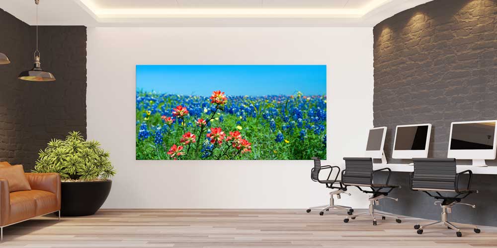 Renkli Kır Çiçekleri Tarlası Manzarası Büyük Ebat Duvar Dekor Ürünü 14155