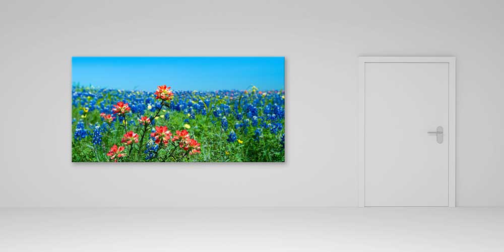 Renkli Kır Çiçekleri Tarlası Manzarası Büyük Ebat Duvar Dekor Ürünü 14155