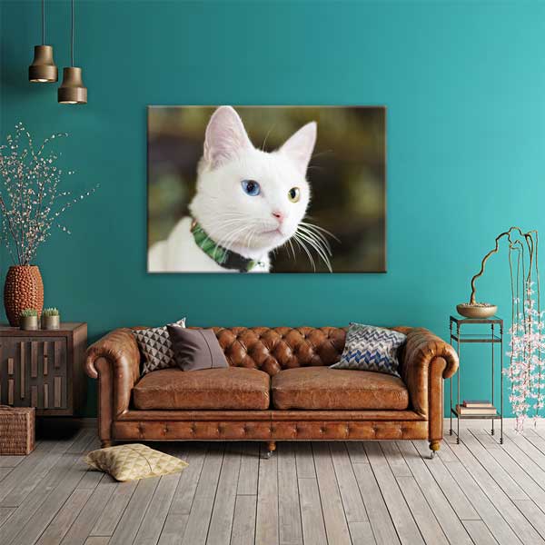 Van Kedisi Portresi Kanvas Tablo 11994