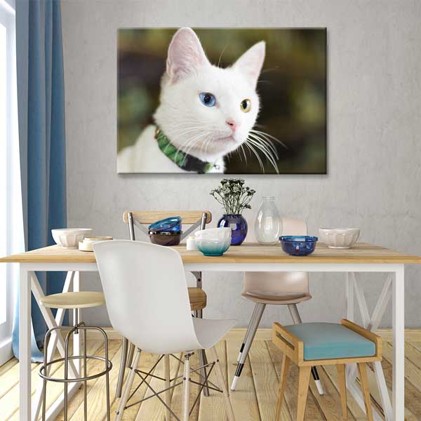 Van Kedisi Portresi Kanvas Tablo 11994