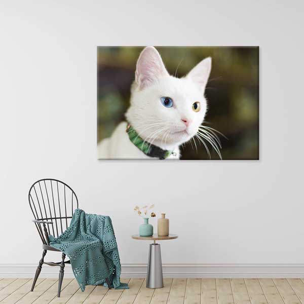 Van Kedisi Portresi Kanvas Tablo 11994