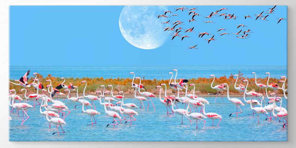 Flamingo Sürüsü ve Ay Manzaralı Büyük Ebat Duvar Dekor Ürünü 11889