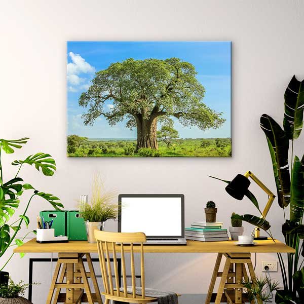 wall-art-canvas-13295-01 Baobab Ağacı Kanvas Tablo 13295