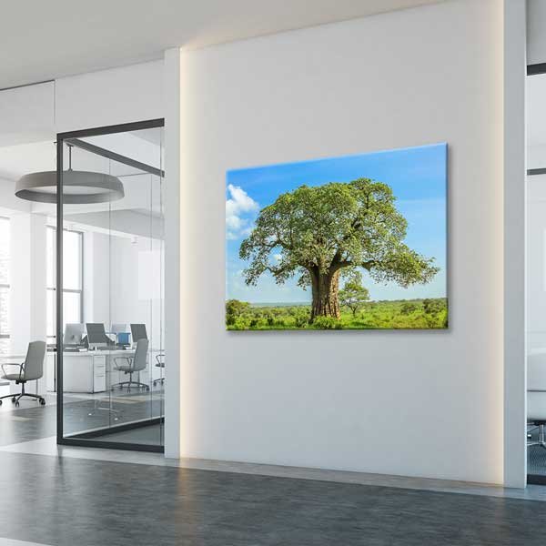 wall-art-canvas-13295-02 Baobab Ağacı Kanvas Tablo 13295