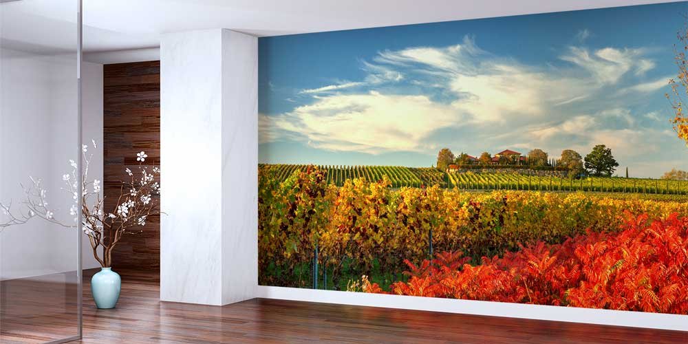 Sonbahar Bağ Manzarası Duvar Kağıdı 12975