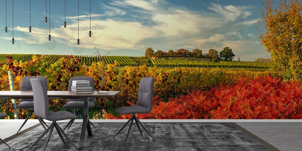 Sonbahar Bağ Manzarası Duvar Kağıdı 12975