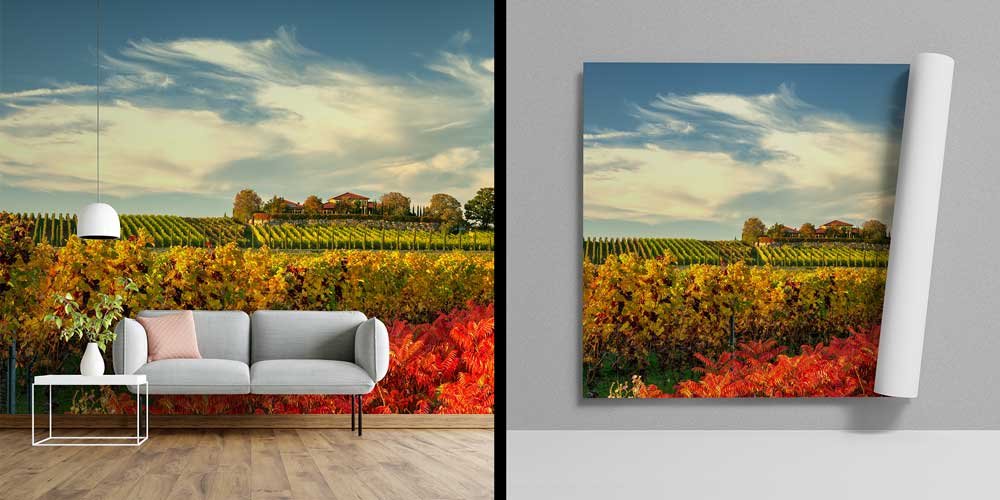 Sonbahar Bağ Manzarası Duvar Kağıdı 12975