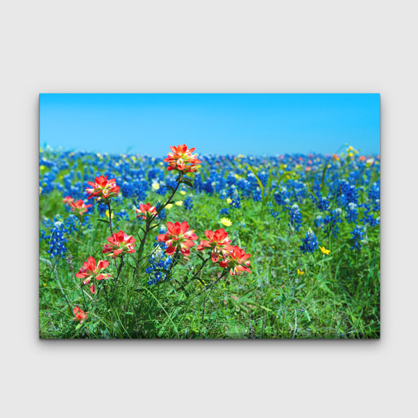 Yabani Bahar Çiçekleri ve Renkli Çayır Manzarası Kanvas Tablo 13611