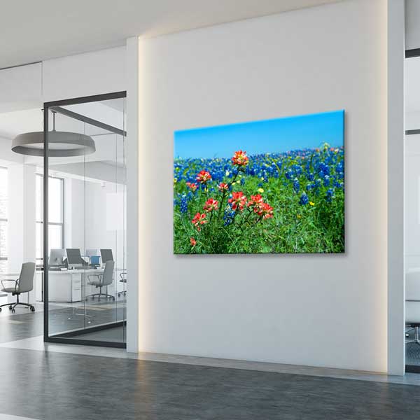 Yabani Bahar Çiçekleri ve Renkli Çayır Manzarası Kanvas Tablo 13611