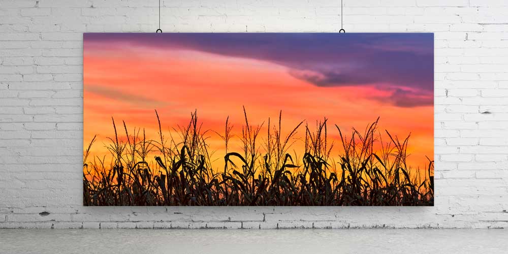 Gün Batımında Kırsal Tarla Silüeti Büyük Ebat Duvar Dekor Ürünü 14145