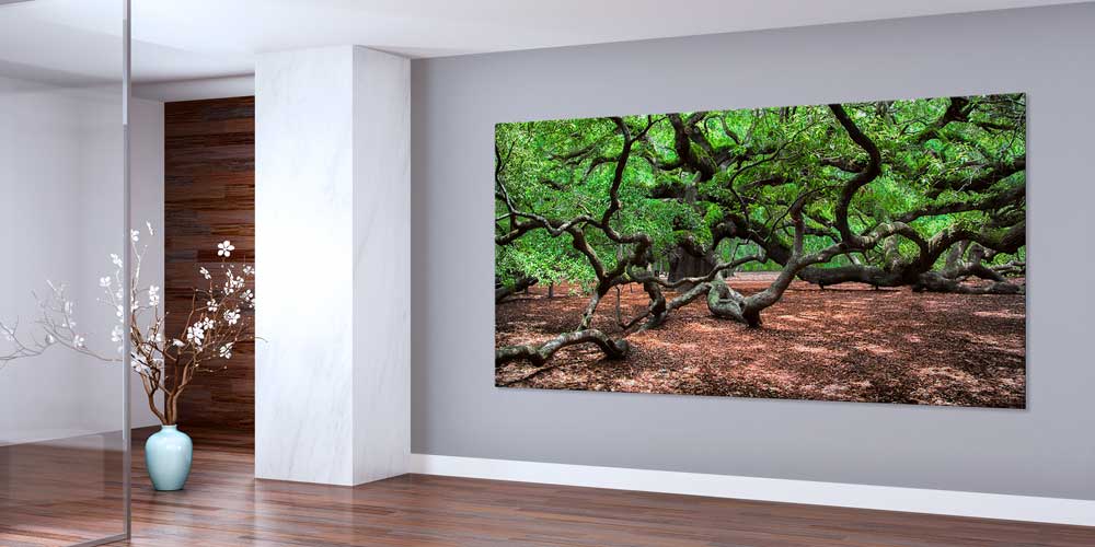 Kıvrımlı Ağaç Dallarıyla Mistik Orman Manzarası Büyük Ebat Duvar Dekor Ürünü 14159