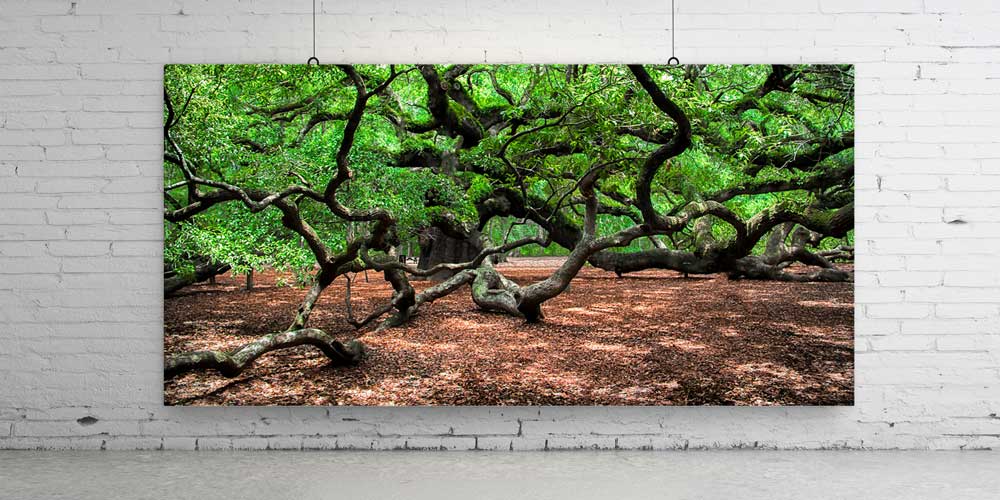 Kıvrımlı Ağaç Dallarıyla Mistik Orman Manzarası Büyük Ebat Duvar Dekor Ürünü 14159