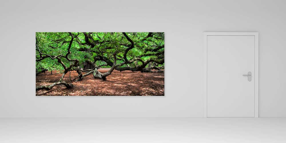 Kıvrımlı Ağaç Dallarıyla Mistik Orman Manzarası Büyük Ebat Duvar Dekor Ürünü 14159