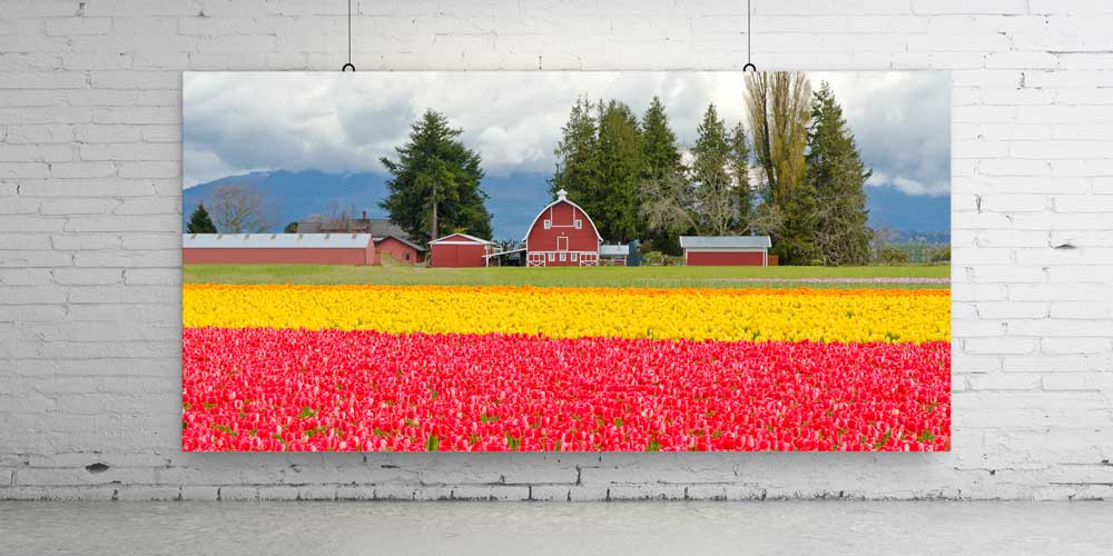 Lale Tarlaları Kırsal Manzara Büyük Ebat Duvar Dekor Ürünü 14133
