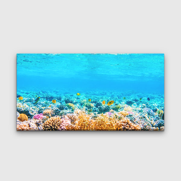 Mercan Resifi ve Tropik Balıklar Su Altı Manzara Kanvas Tablo – 13663