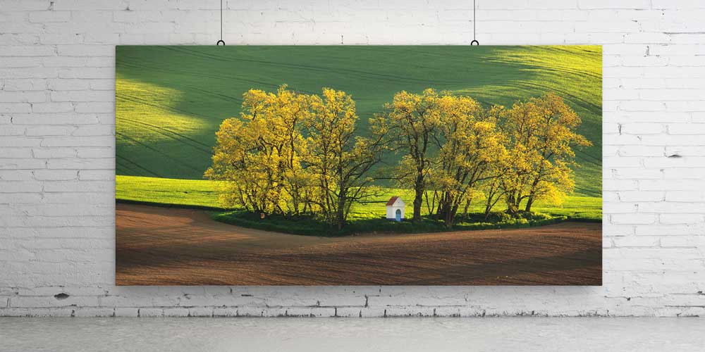 Küçük Beyaz Kulübe ve Altın Tonlu Ağaçlar Büyük Ebat Duvar Dekoru 14216