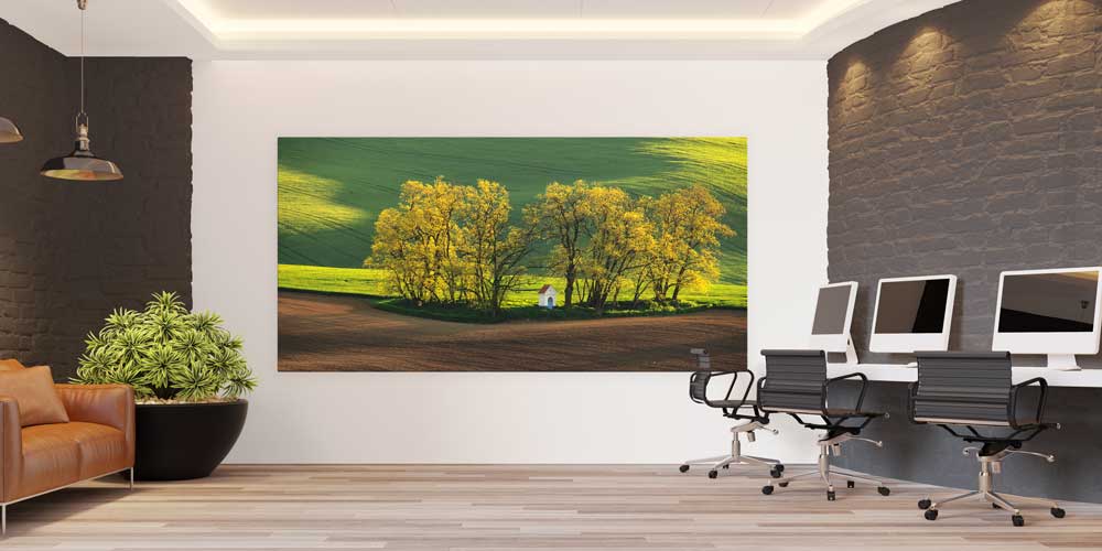 Küçük Beyaz Kulübe ve Altın Tonlu Ağaçlar Büyük Ebat Duvar Dekoru 14216