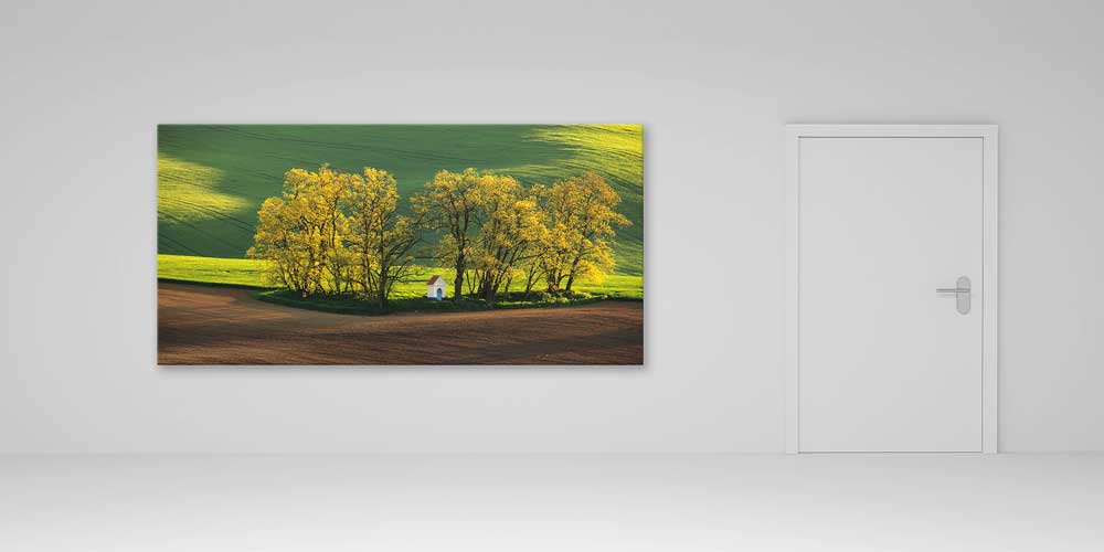 Küçük Beyaz Kulübe ve Altın Tonlu Ağaçlar Büyük Ebat Duvar Dekoru 14216