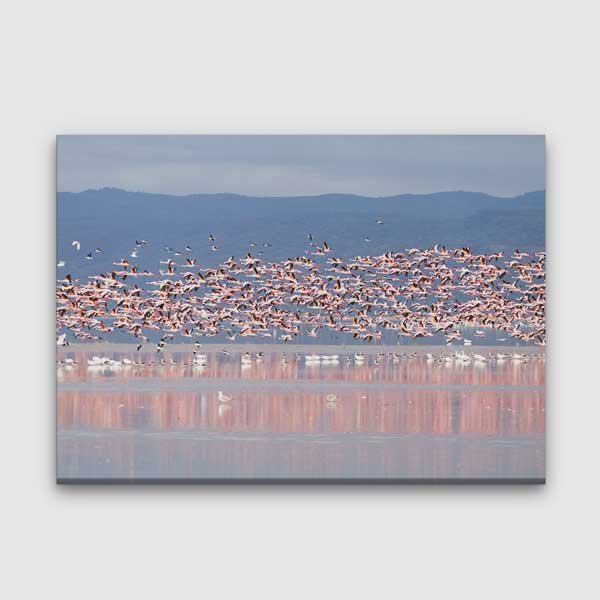 Flamingo Sürüsü Kanvas Tablo 13309