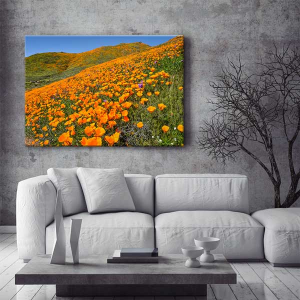 Turuncu Gelincik Tarlası Bahar Manzarası Duvar Tablosu 13633