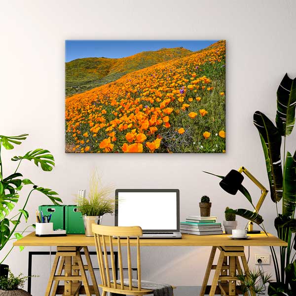 Turuncu Gelincik Tarlası Bahar Manzarası Duvar Tablosu 13633