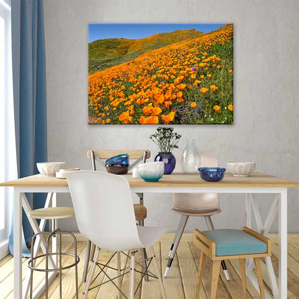 Turuncu Gelincik Tarlası Bahar Manzarası Duvar Tablosu 13633