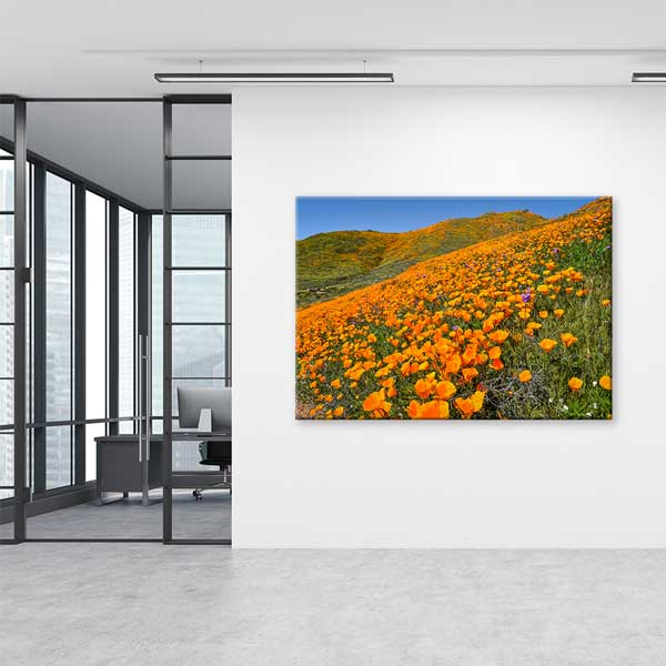 Turuncu Gelincik Tarlası Bahar Manzarası Duvar Tablosu 13633