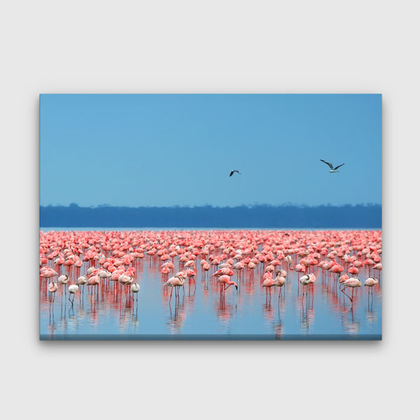 Flamingo Kolonisi Kanvas Tablo 13292