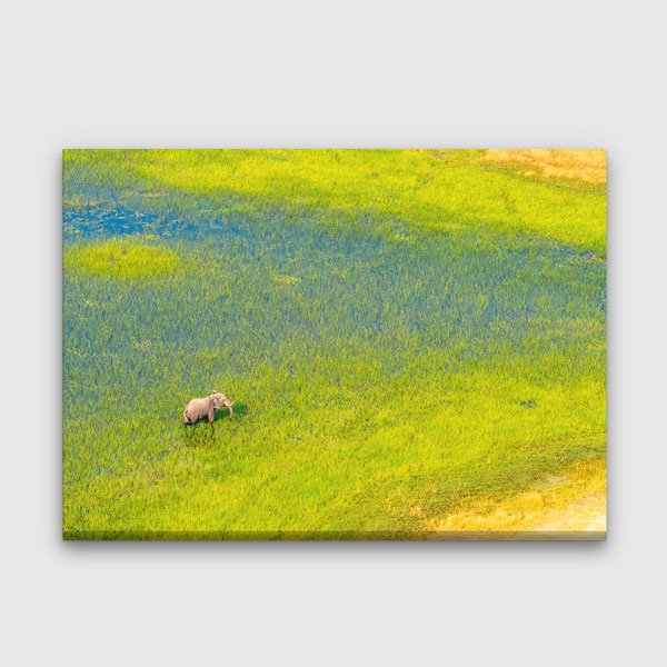 Afrika Sulak Alan ve Fil Kanvas Tablo 13301