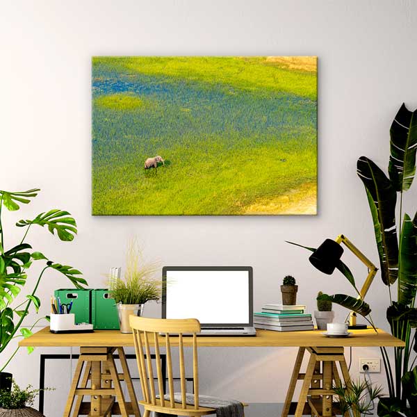 Afrika Sulak Alan ve Fil Kanvas Tablo 13301